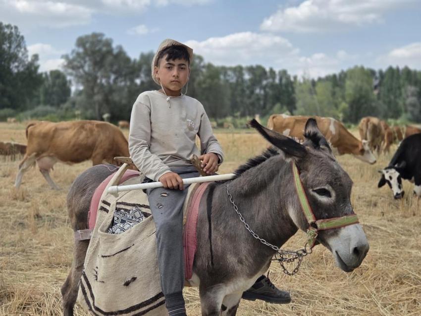 12 yaşında Yozgat'ta hayvan bakarken isim vermeye başladı!