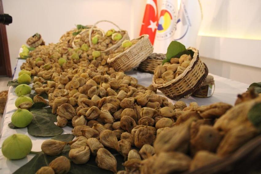 Aydın'da kuru incir sezonu açıldı: Yeni mahsul ilk günden rekor kırdı