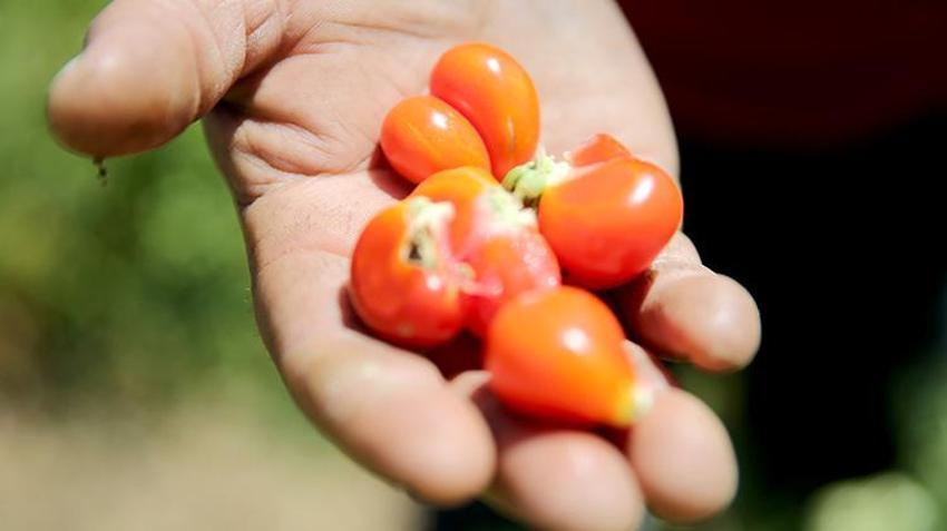 Karabüklü vatandaş, akrabalarını kanserden kaybedince her şeyi bırakıp kaçtı!