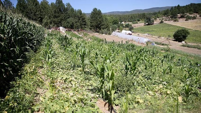 Karabüklü vatandaş, akrabalarını kanserden kaybedince her şeyi bırakıp kaçtı!