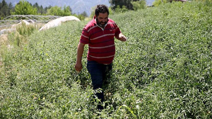 Karabüklü vatandaş, akrabalarını kanserden kaybedince her şeyi bırakıp kaçtı!
