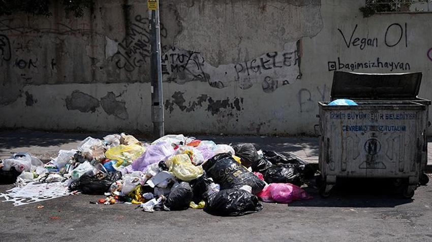 İzmir'in çöpleri vatandaşı bezdirdi! 'Farelere karşı 3 kedi besleyip barikat kuruyorum'