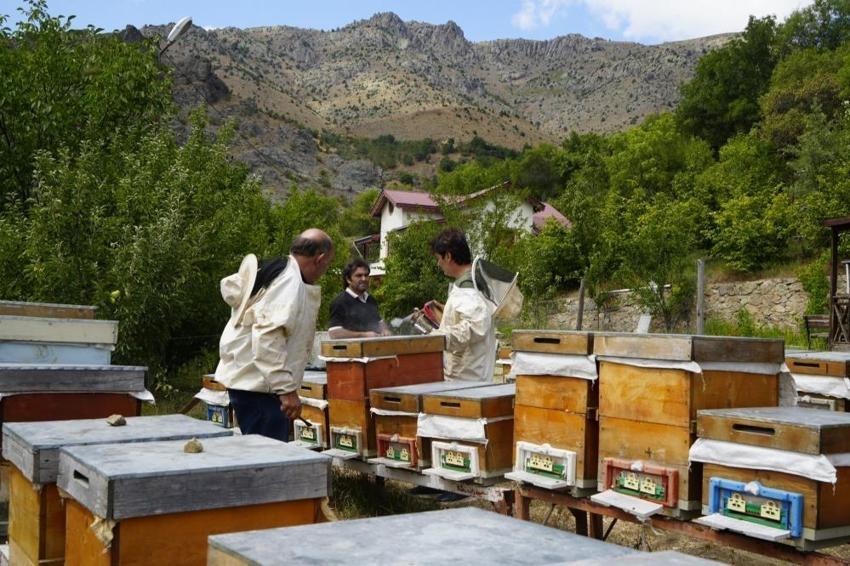 Gümüşhane'de bal hasadı yapıldı: Üreticinin yüzü güldü