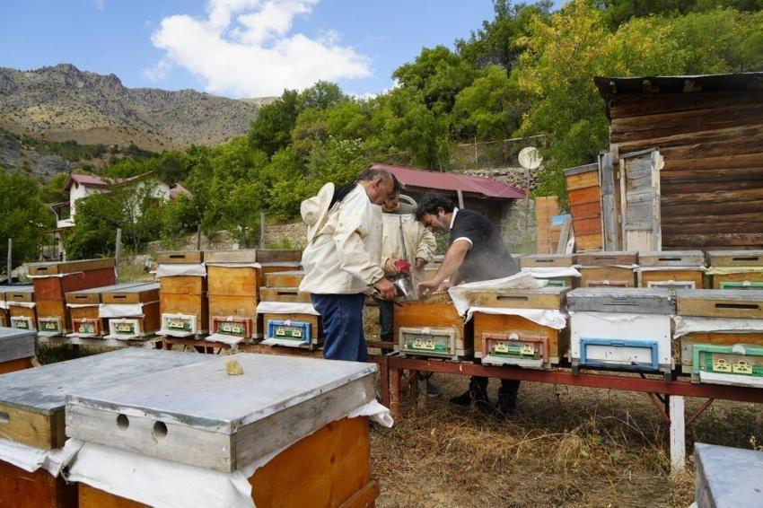 Gümüşhane'de bal hasadı yapıldı: Üreticinin yüzü güldü