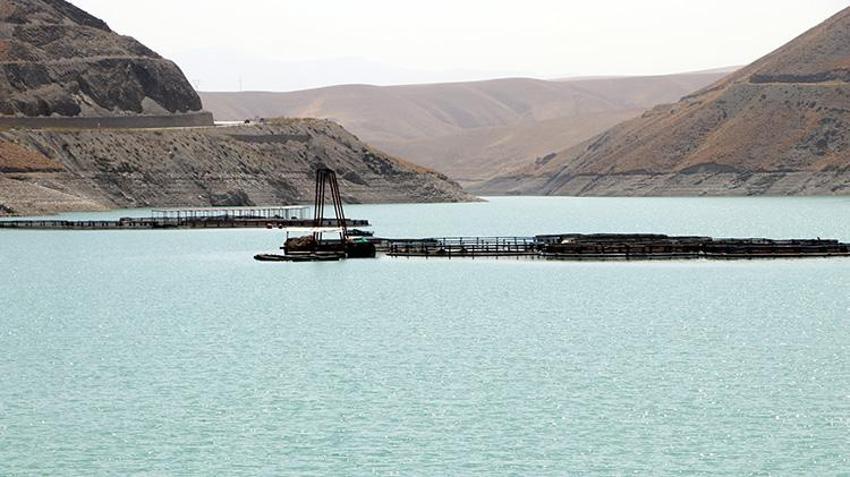 Van'da alarm zilleri çalıyor! 4 baraj kuruyor, alabalık üretimi tehlikede