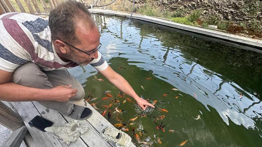 Çocukluk hayalini gerçekleştirdi, yüzme havuzunu evde beslediği balıklarla doldurdu: 2ayda tam 20 cm uzadılar!