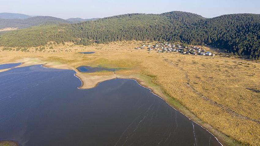 Seben Gölü'nde su çekildi, inekler adalarda otlamaya başladı