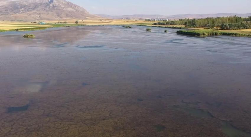 Sivas'ta göçmen kuşların cennetine son müdahale! İzin verilmeyecek, acil eylem planı devreye girdi