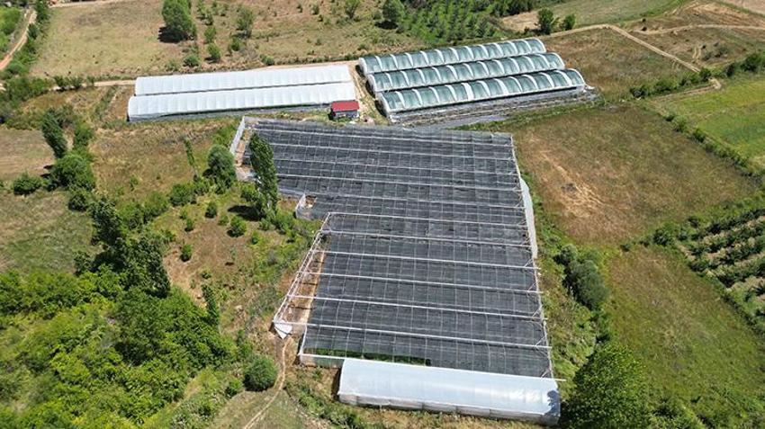 Isparta bu üründen kazanıyor! Üretim alanı genişledi kâr marjı yükseldi
