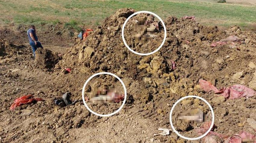 Samsun'da belediye ekipleri yolu kazarken poşet poşet buldu! Sır gerçek ortaya çıktı