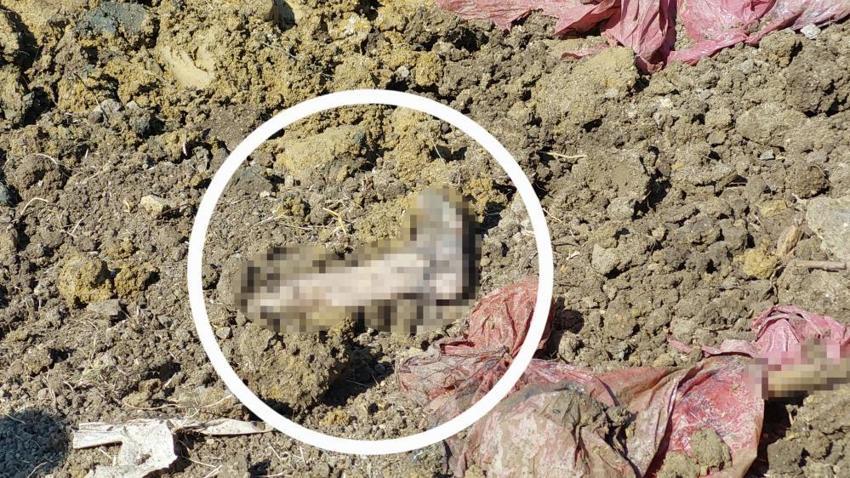 Samsun'da belediye ekipleri yolu kazarken poşet poşet buldu! Sır gerçek ortaya çıktı