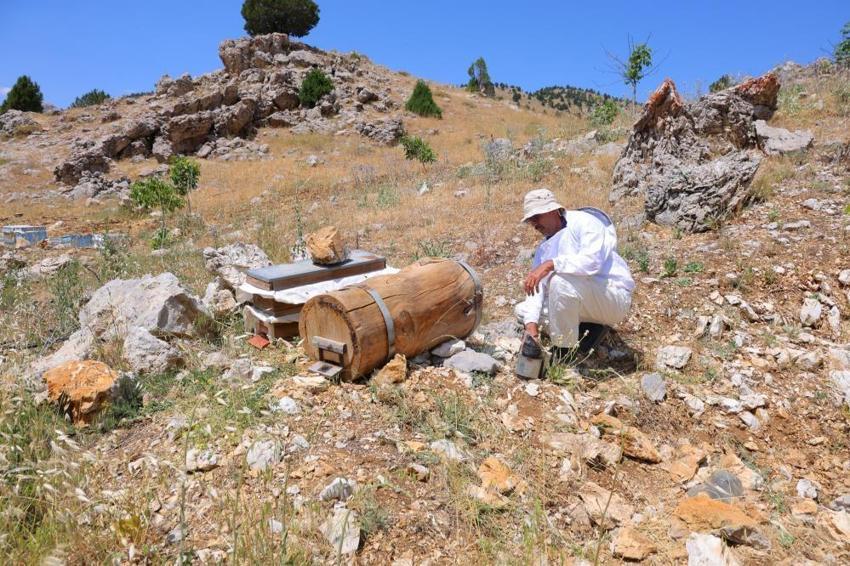 Kahramanmaraş'ta dedesinden kalma yöntemle üretti, sonuca kendisi bile şaşırdı: 'En birinci ürün bunda olur!'