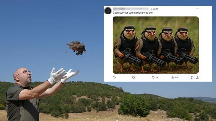 Veteriner hekimden dikkat çeken açıklama: Keklikler sanıldığı gibi kene yemez