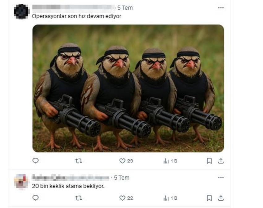 Veteriner hekimden dikkat çeken açıklama: Keklikler sanıldığı gibi kene yemez