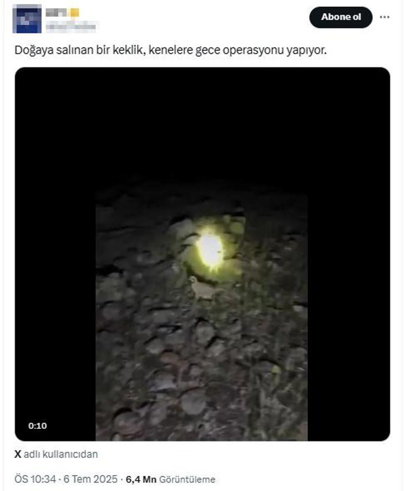 Veteriner hekimden dikkat çeken açıklama: Keklikler sanıldığı gibi kene yemez