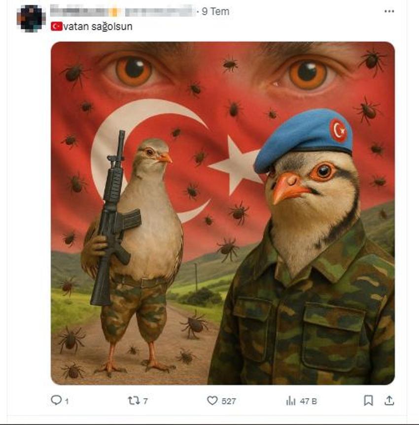 Veteriner hekimden dikkat çeken açıklama: Keklikler sanıldığı gibi kene yemez