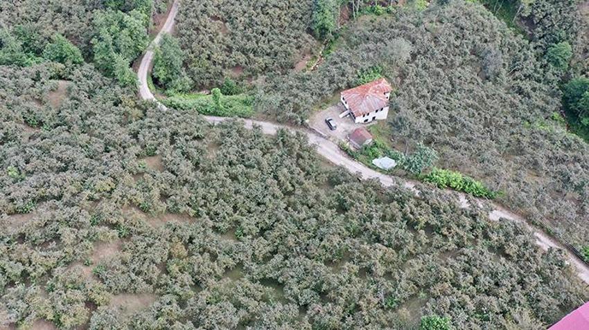 Giresunlu baba ve oğul kurdukları sistemle fındık verimini iki kat artırdı! Proje basit kârı yüksek