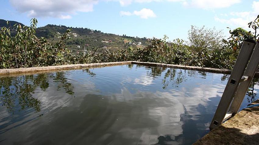 Giresunlu baba ve oğul kurdukları sistemle fındık verimini iki kat artırdı! Proje basit kârı yüksek