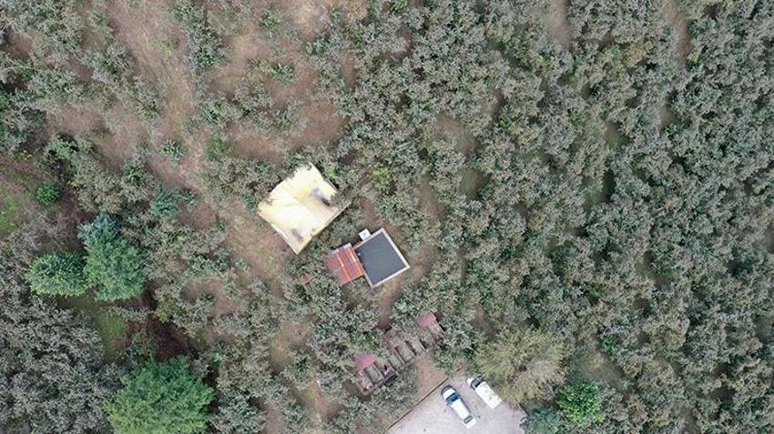 Giresunlu baba ve oğul kurdukları sistemle fındık verimini iki kat artırdı! Proje basit kârı yüksek