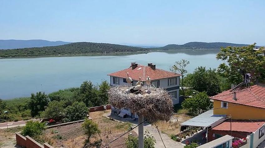Yaren Leylek'in yavruları yuvadan ayrıldı: Harita ile paylaştılar