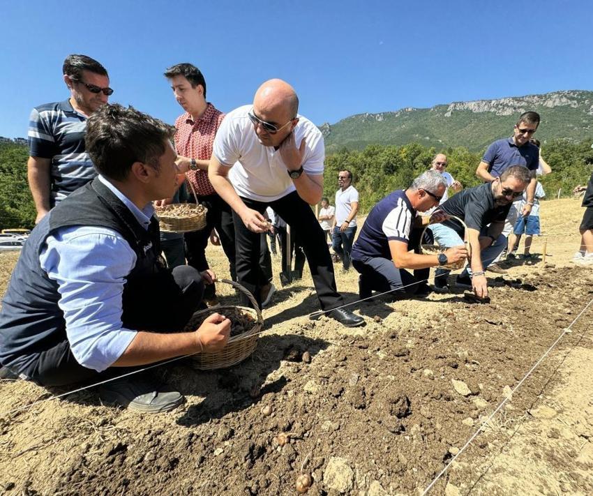 Kilogramı yarım milyon TL! Dünyanın en nadide baharatı yeniden ekildi! Tarihi hasat başladı