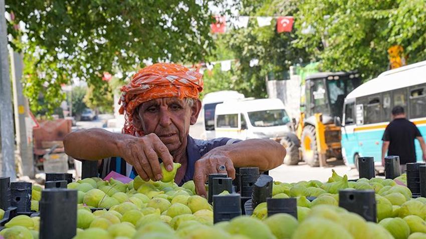 Dünyada ve Türkiye'de sadece Torbalı'da var: Rekolte 100, ihtiyaç 1000 ton! Kapış kapış gidiyor