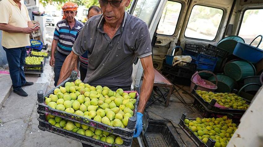 Dünyada ve Türkiye'de sadece Torbalı'da var: Rekolte 100, ihtiyaç 1000 ton! Kapış kapış gidiyor