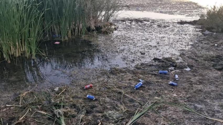 Çorum'da gölet yosunla kaplandı: Yardım çağrısı yapıldı