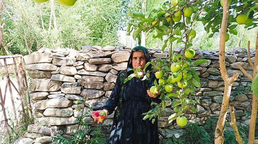 Hakkari'de bir zamanlar kimsenin yüzüne bakmadığı ürün şimdilerde geçim kaynağı oldu!