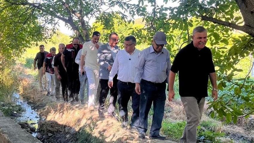 Sinop'un coğrafi işaretli Boyabat domatesinin hasadı başladı!