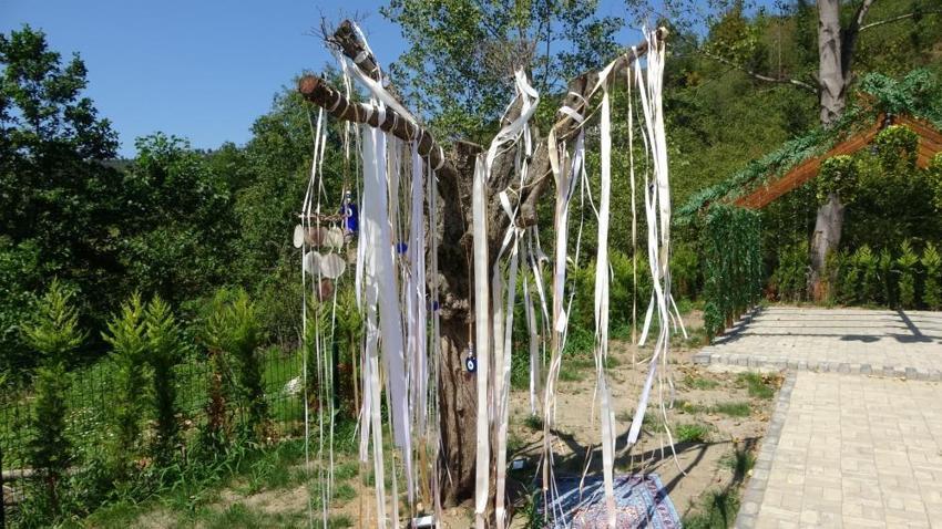 Trabzon'un Arsin ilçesinde ilginç girişim! İki arkadaş okudukları bölümle alakası olmayan bir işe yatırım yaptı