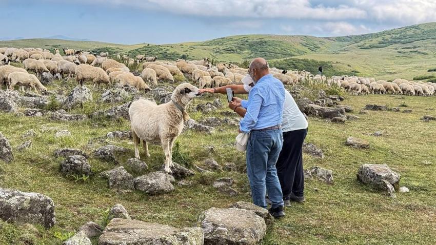 Türk beyliklerinin mezarlığı hayvanlara tuz taşı oldu! 3 bin askerin mezarlığı kaderine terkedildi