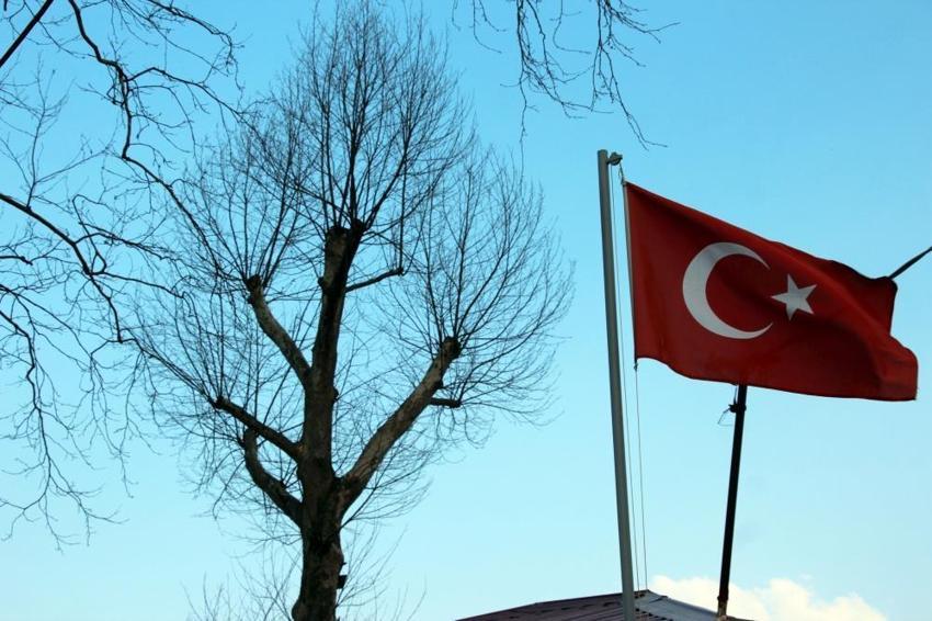 Sakarya'nın sembolü asırlık çınar ağaçları kurudu! Mahalleli yardım bekliyor: 'Sebebi sıcak değil'