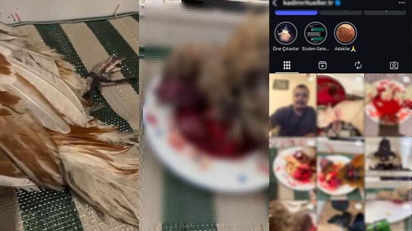 Bursa'da korkunç şaman ayini! Kestiği hayvanları sosyal medyadan paylaştı: Ben bir şamanım ve şifacıyım