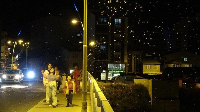 Ardahan'da görsel şölen! Bir günlükler'in ölüm dansı geç başladı