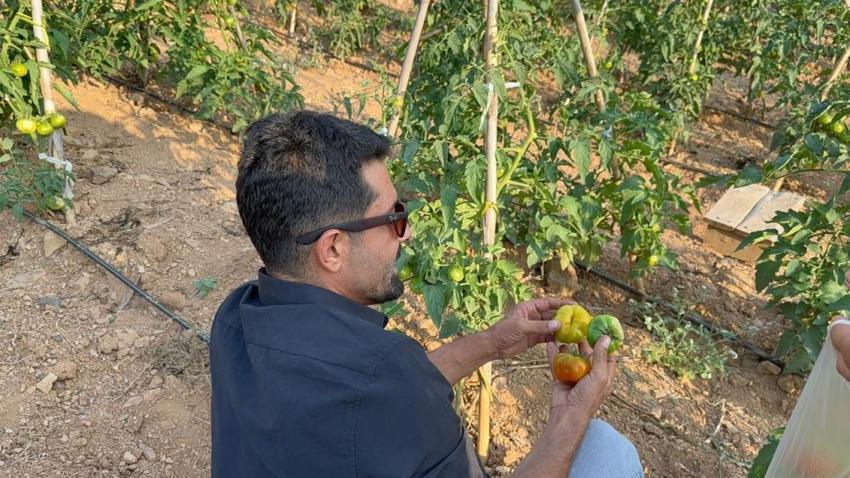 Adana'da köylüler birleşti atıl arazilerden para kazanmaya başladı! 3 dönümle ilk adımı attılar şimdi 9 dönüm işliyorlar