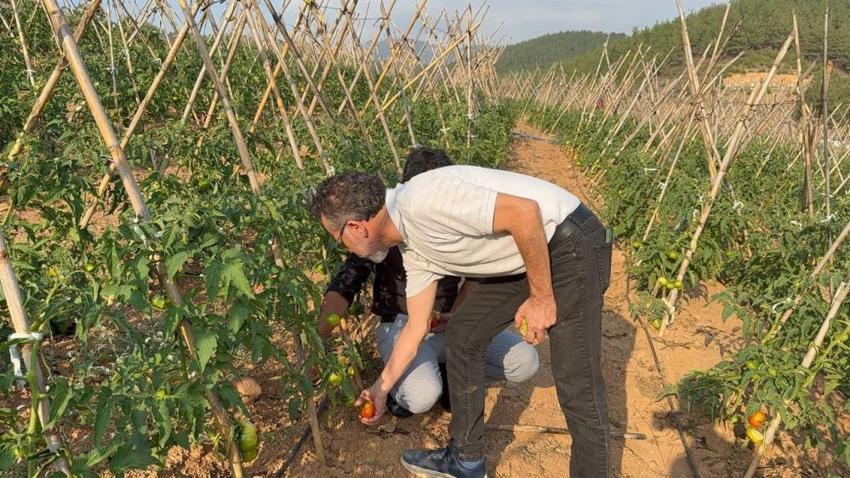 Adana'da köylüler birleşti atıl arazilerden para kazanmaya başladı! 3 dönümle ilk adımı attılar şimdi 9 dönüm işliyorlar