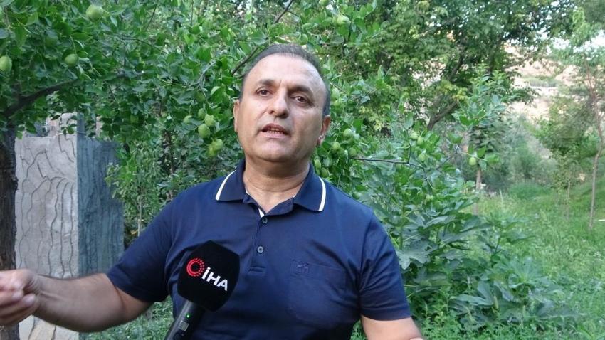 Malatya'da kayısıya alternatif ürün bulundu! Hem fiyatı hem de kalitesi kayısıdan daha iyi