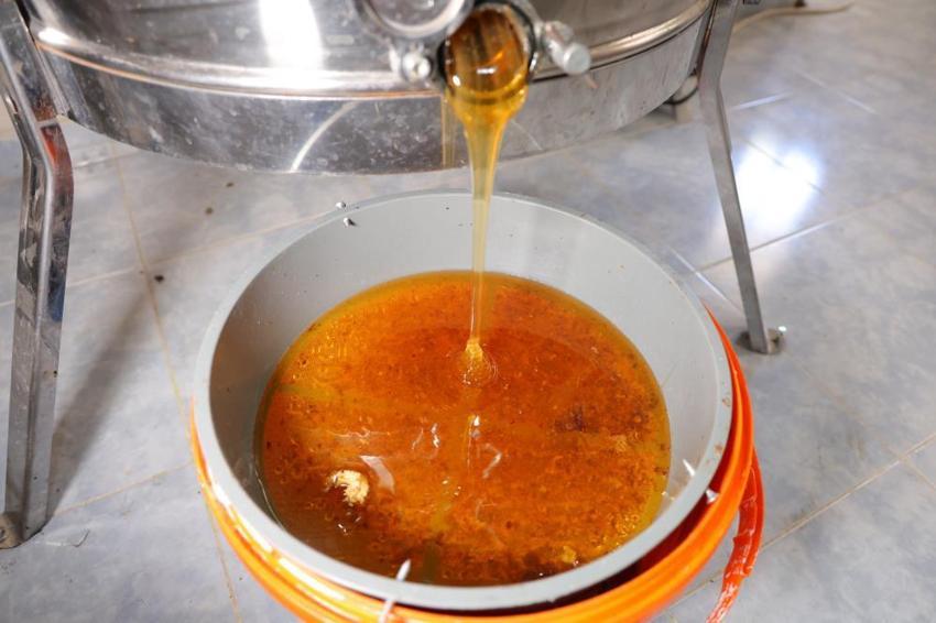 Kahramanmaraş'ta yıllar sonra bal bereketli! Yayla ballarında sağım dönemi başladı!