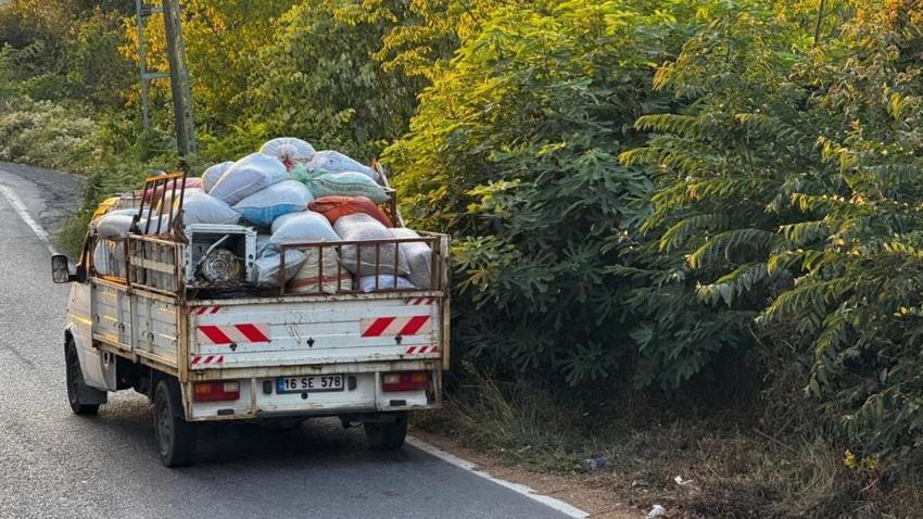 Zonguldak'ta hasat başladı, sorun da başladı: Herkes onlardan şikayetçi!