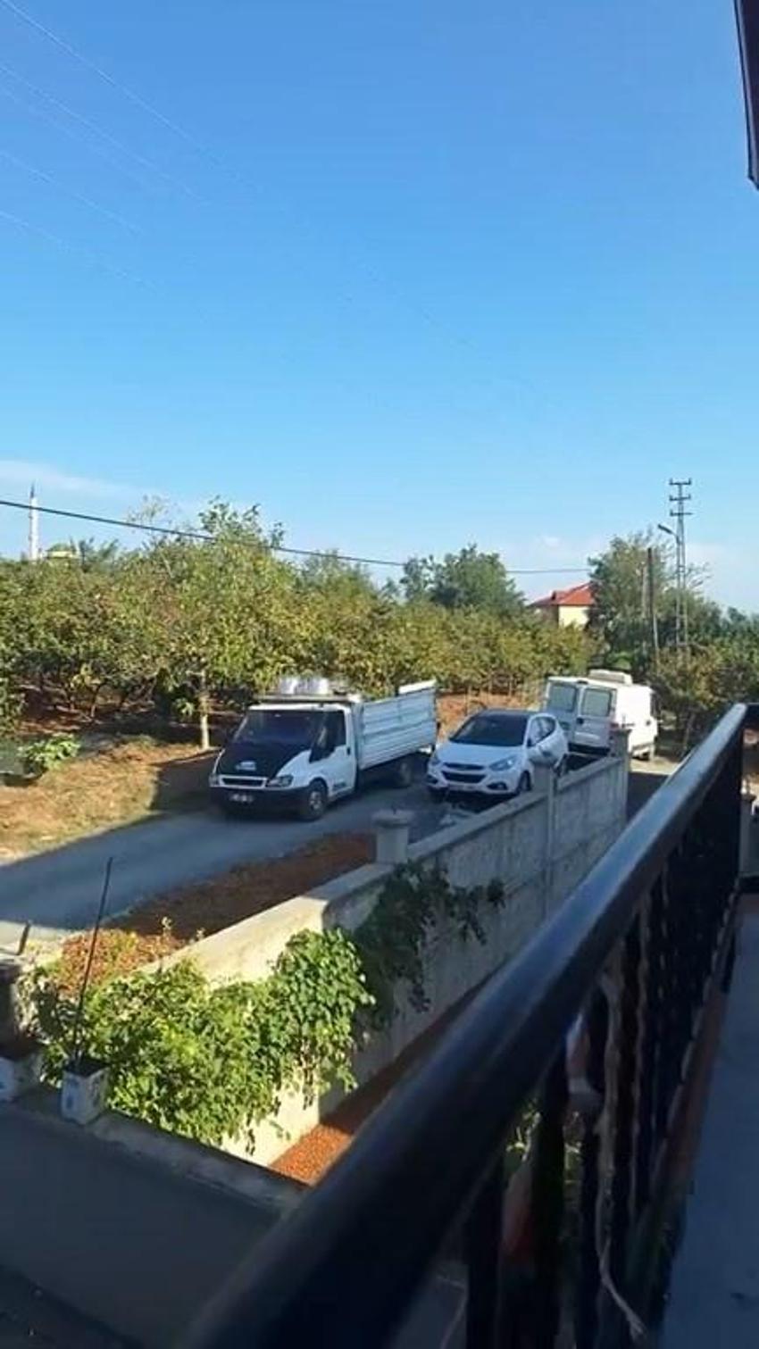 Zonguldak'ta hasat başladı, sorun da başladı: Herkes onlardan şikayetçi!