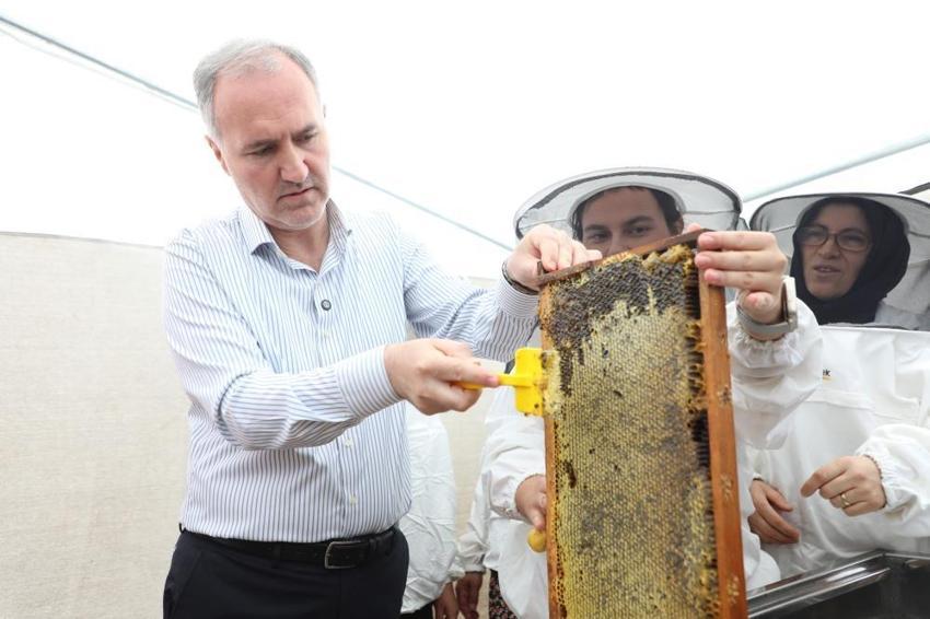 İnegöl Balı Anzer'e rakip çıktı! Hasat başladı, kalitesi uzmanları hayrete düşürdü