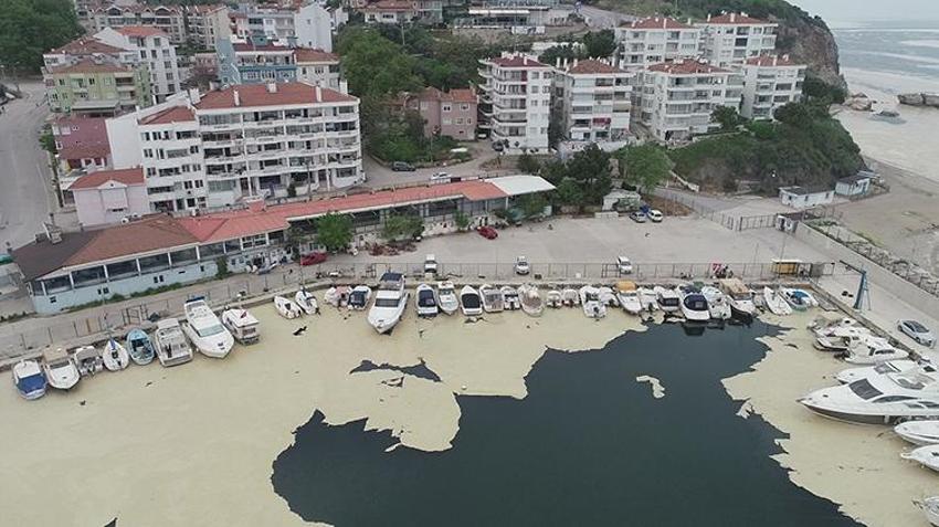 Bursa'da küçük balıkçılara "müsilaj" desteği! Detaylar belli oldu