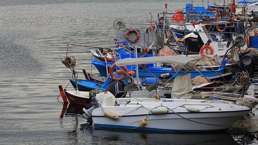 Bursa'da küçük balıkçılara "müsilaj" desteği! Detaylar belli oldu