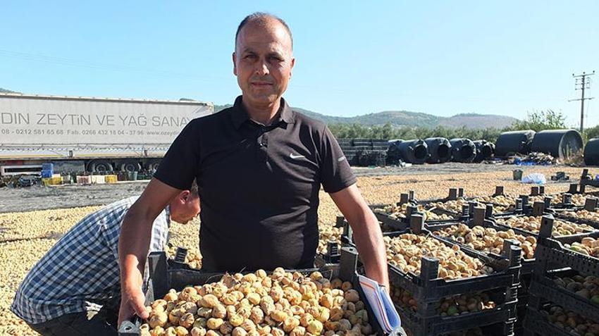 Aydın'ın yeni rakibi Balıkesir! Hasat başladı, Çin, İngiltere, Rusya ve İspanya almak için sırada
