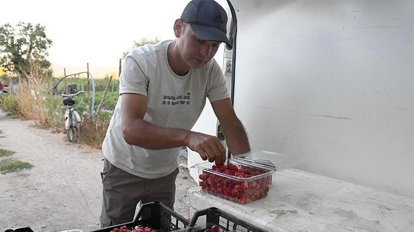 Babadan kalma atıl araziyi değerlendirdi! Bir kez dikti her yıl tonlarca ürün alıyor! 'Yoğun talep var'