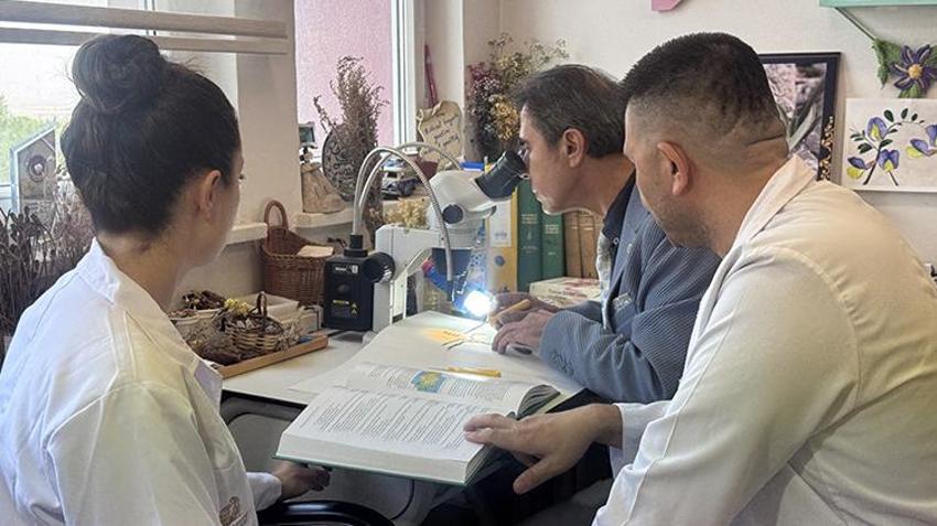 Dünyada ilk kez Konya'da keşfedildi! Daha önce böylesi olmadı, resmen zengin edecek