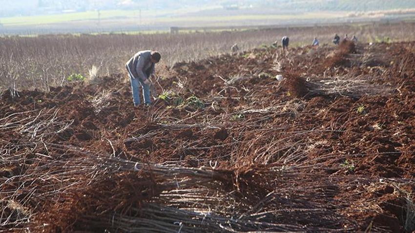 Tüm Türkiye'yi sardı, kriz patlak verdi! Kısıtlamalar kapıda: Petrolden daha pahalı olacak