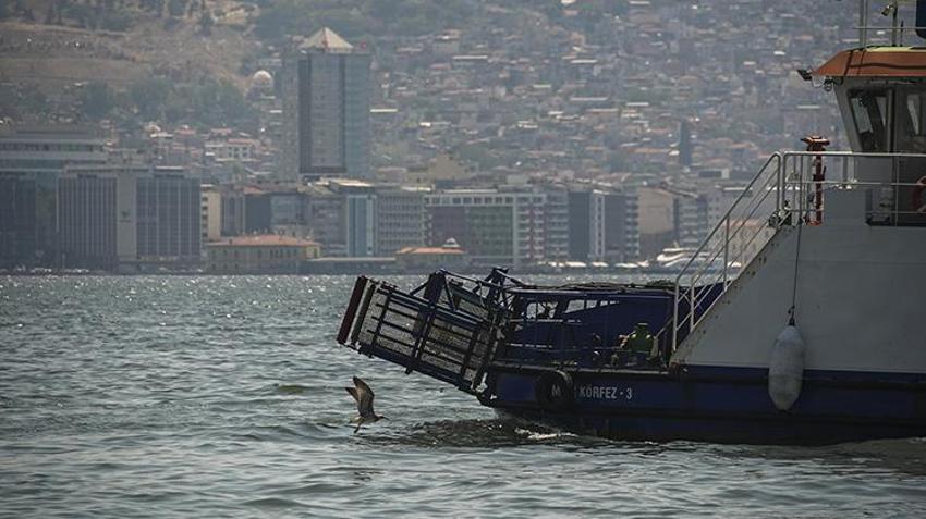 Korkutan görüntüler! İzmir Körfezi'nde kıyıya vuran ölü balıklar paniğe yol açtı