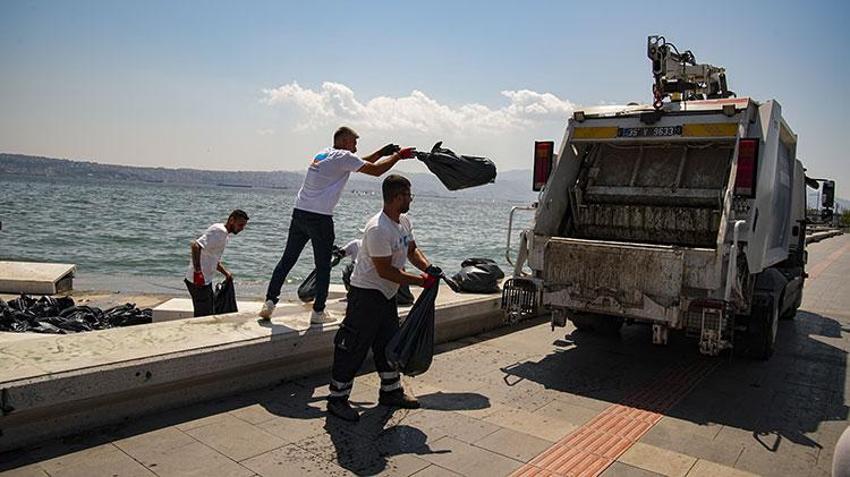 Korkutan görüntüler! İzmir Körfezi'nde kıyıya vuran ölü balıklar paniğe yol açtı